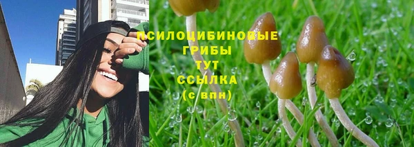 PSILOCYBIN Богородицк